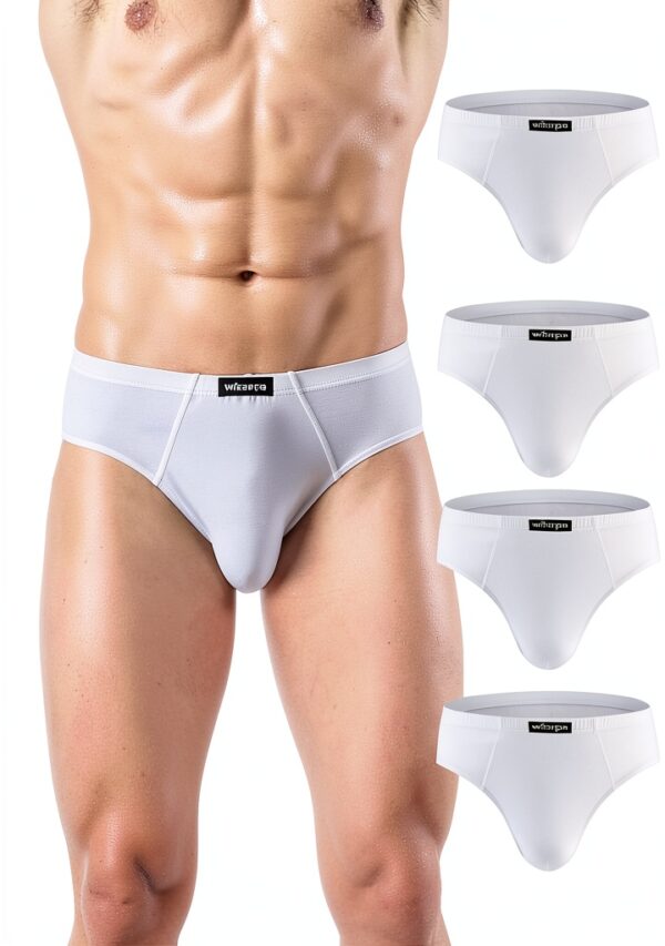 Wirarpa Slip Homme Microfibre Élastique Sous-vêtements