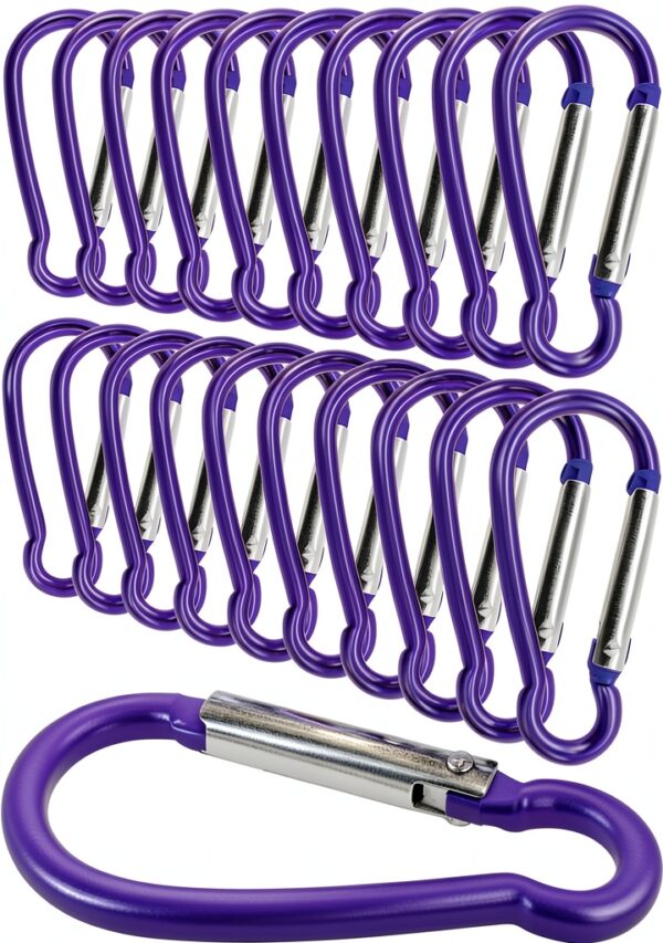 Mousquetons aluminium Outdoor Saxx lot 20 violet sécurité