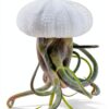 Trendyairplants - Lot de 3 Méduses Végétales avec Coquilles d’Oursin Alfonso Blanches et Tillandsias - Plantes Aériennes Suspendues avec Mousse Espagnole - Décoration Naturelle-3