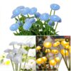 Lampe solaire extérieure YZYOE 4 Pack 10LED Méduse étanche, 2 modes-1