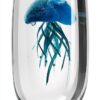 LEONARDO HOME 018685 Objet Oceano Méduse Bleu 19 cm-3