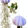 Trendyairplants - Lot de 3 Méduses Végétales avec Oursins de Mer Violets et Tillandsias - Plantes Aériennes Suspendues - Décoration Naturelle Fait Main - Cadeau Unique-4