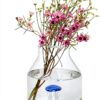 Balvi Vase Bleu Conique avec Méduse en Verre-2