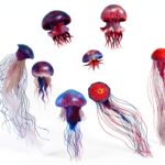 Stickers Muraux Méduse Océan Imperméables PVC Outanaya pour Chambre-0