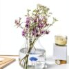 Balvi Vase Bleu Conique avec Méduse en Verre-1