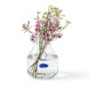 Balvi Vase Bleu Conique avec Méduse en Verre-3
